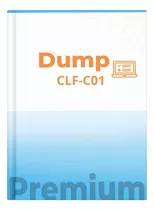  Clf-c01  Dumps Premium