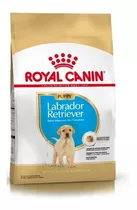 Royal Canin Labrador Junior Puppy 12 Kg Pet Shop Cuenca