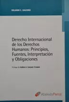 Derecho Internacional De Los Derechos Humanos / Gialdino