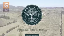 Terra Oliva - Chacras Financiadas (ruta 9, Pan De Azúcar). Ref 5596
