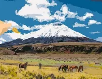 Lienzo Cotopaxi Y Caballos Pinta Con Números Timai Cuadro