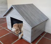 Casas Para Perros Razas Medianas