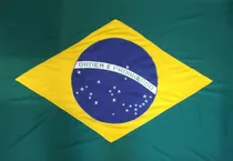 Bandeira Do Brasil Oficial Bordada 9 Panos Com Ilhos