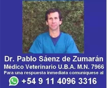 Veterinario Castracion Perras Y Perros , Todos Los Barrios