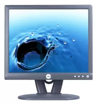 Monitor Dell E173fpc - 17  Lcd