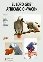 El Loro Gris Africano O  Yaco 