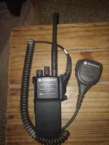 Handy Motorola Dgp 5050e
