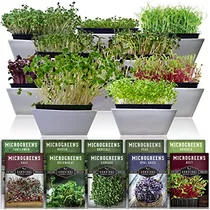 Microgreens 10 Paquetes De Instrucciones Sembrar, Germi...