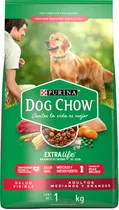 Comida Dog Chow Adulto 21+3kgl+ Regalo   Racionya