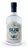 Gin Sur Botella 700ml Patagonico Alta Gama