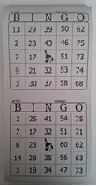 600 Cartelas De Bingo Jornal 2x1