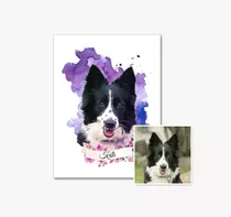 Border Collie Retrato De Mascota Perro Digital Personalizado