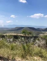 Vendo Terreno En Jaiqui Picao, Sajoma