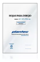 Hojas A2 Plantec Pack Por 10 Hojas Dibujo Tecnico