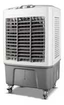 Enfriador Ventilador De Aire 35l  Ls500 80 Cm Mediano