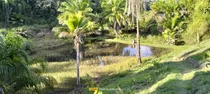 Fazenda Com 7,5hec Com Casa Grande Ampla E Bastante Água 