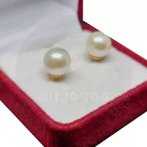 Aros Perla Cultivada 8 Mm Oro 18 Kilates (18k)