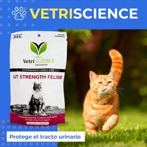 Vetriscience Vitaminas Gato Formula Urinary Tract Support