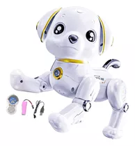Robô De Controle Remoto Para Cães, Programação Robótica