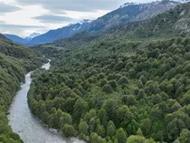 Lago Verde, Palena, 320 Hectáreas Orilla De Rio