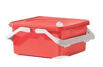 Porta Picnic Grande Tupperware