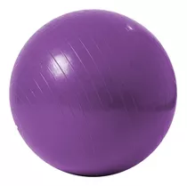 Balon Fisiologico 85 Cm Pelota Esferodinamia Pilates Ball
