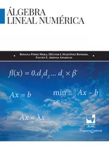 Álgebra Lineal Numérica ( Libro Nuevo Y Original )