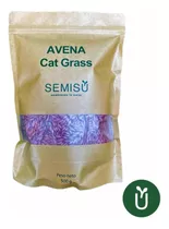 Semillas Avena 500 G - Ideal Animales Gatos - Germinación N1