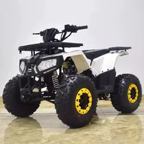 Terrain 2wd Quad Bike 200cc Vehicle (atv) 4x2 Original