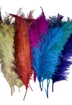 Pluma Larga Avestruz Varios Colores 50 A 70cm 