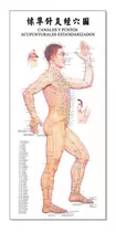 Poster Acupuntura Trilateral Cuerpo Humano 32x70cm 3 Posters