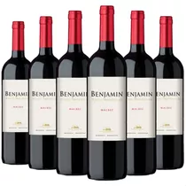 Vino Benjamin Nieto Senetiner Malbec Caja X6 750ml 01almacen