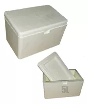 1 Cx De Isopor 5 Litro/kg Para Sorvetes Bolos Potes Vacinas