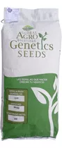 Semillas De Sorgo Forrajero Nutrigraze Saco 20kg 