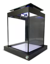 Aquário Quili Blackbox Nano Para Peixe Betta 10 Litros Com Luminária Led 110v/220v