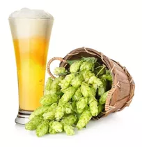 50 Sementes Lupulo Trepadeira Cerveja Humulus Lupulus Mudas