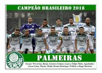 Poster Do Palmeiras - Campeão Brasileiro 2018