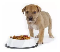 Mundo Mascota Comida Perro Mejor Precio +