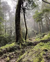 Terreno Boquete Artillería En Oferta Por Derecho Pocesorio