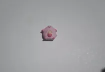 Pokémon - Coleção Guaraná Caçulinha - Chansey