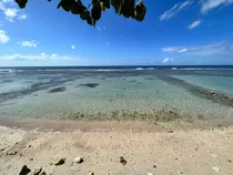 Vendo Solar Primera Linea De Playa En Juan Dolio