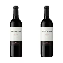 Vino Tinto Benjamín Malbec Nieto Senetiner X750 Pack X2 