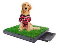 Baño Grande Ecológico Pet Potty Para Perros Con Bandeja Remo