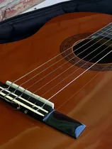 Guitarra Valencia Cg160, Estuche Incluido