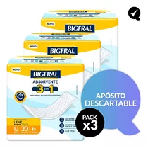 60 Apósitos Absorbentes Bigfral Regular Plus Talle Único