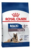 Royal Canin Maxi Ageing +8 15 Kg Perro Adultos El Molino