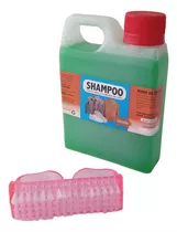 Champú Kit Limpieza Gamuza Cepillo + Champú 