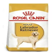 Royal Canin Labrador Retriver Adulto 12kg + Envios!!!