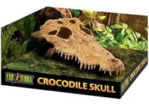 Exo Terra Terrarium Decorativo Crocodile Skull Reptiles