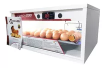 Chocadeira Chocamax 60 A 70 Ovos Automática Digital